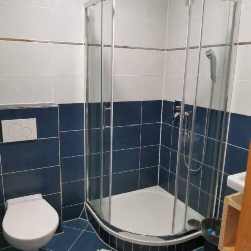 Sa tuš kabinom LCD/plazma televizor soba sa francuskim krevetom (za 2 osoba(e))