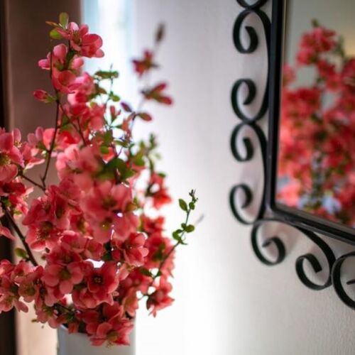 Forest View Whole House Farmhouse for 6 Persons