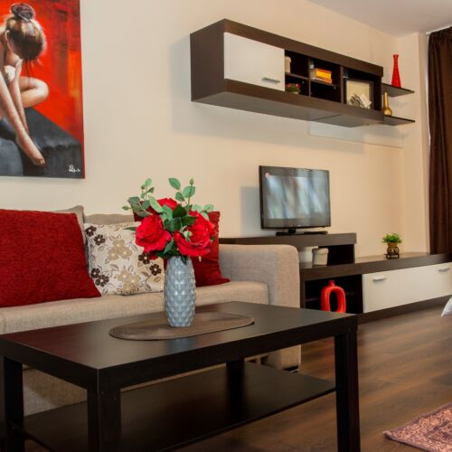 Apartament standard cu balcon cu 1 camera pentru 4 pers.