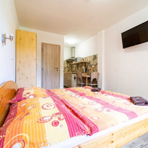 Apartman se sprchou s vlastní kuchyňkou s manželskou postelí s 1 ložnicí