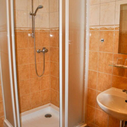 Standard Pokoj s manželskou postelí s výhledem na hory