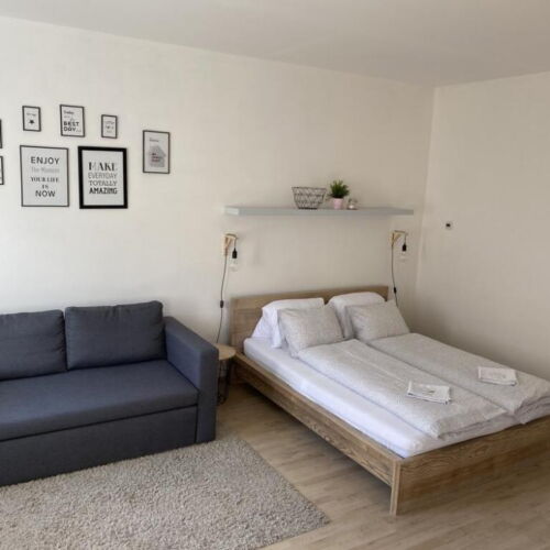 Apartman se sprchou s vlastní kuchyňkou s manželskou postelí s 1 ložnicí (s možností přistýlky)