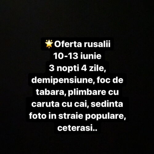 Cabană family cu baie pentru 4 pers. (se inchirieaza doar integral)