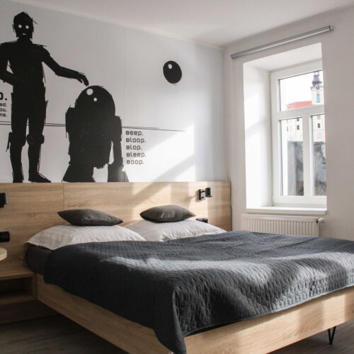 Air Conditioned Double Room with Shower