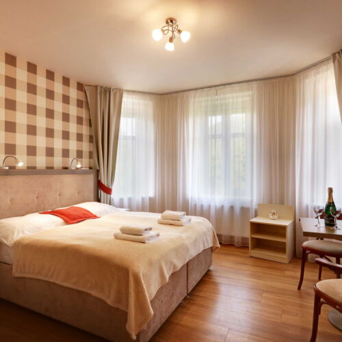 Studio Apartman se sprchou s manželskou postelí s 1 ložnicí