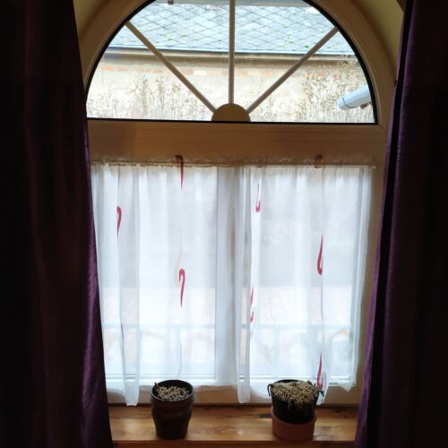 Apartman pro 4 os. se 2 ložnicemi přízemní 