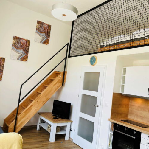 Apartment for 4 Persons with Shower and Kitchenette