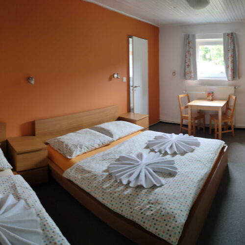 Pokój 3-osobowy z prysznicem z widokiem na góry