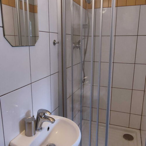 Pokój 2-osobowy z prysznicem z widokiem na góry (możliwa dostawka)