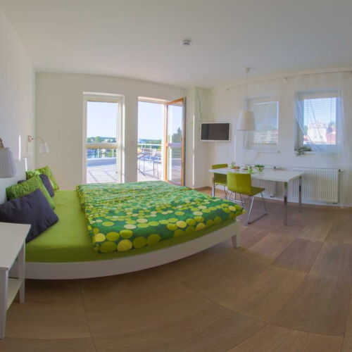 Studio Apartman se sprchou s manželskou postelí s 1 ložnicí