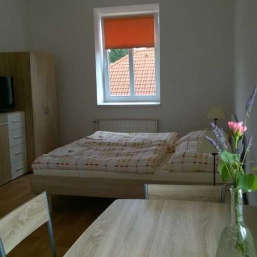 Camera dubla cu duș cu chicinetă proprie