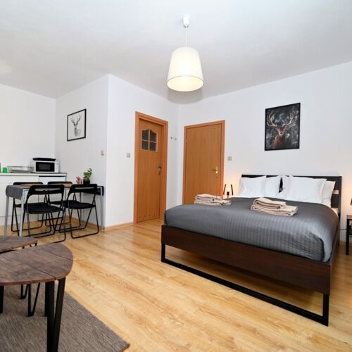 Pokój 4-osobowy Studio z aneksem kuchennym