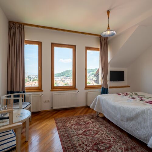 Camera dubla standard