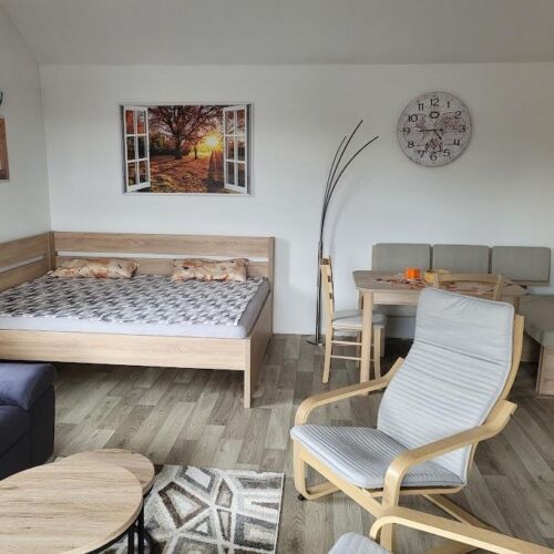 2-Room Apartment for 4 Persons with Shower and Kitchen (extra bed available)