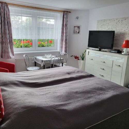 Studio 1-Room Apartment for 2 Persons with Shower