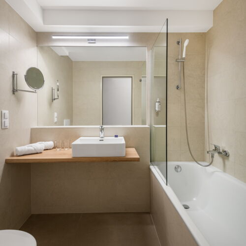 Camera twin classic cu vedere spre pădure (se poate solicita pat suplimentar)