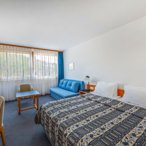 Camera twin standard familial(ă) (se poate solicita pat suplimentar)