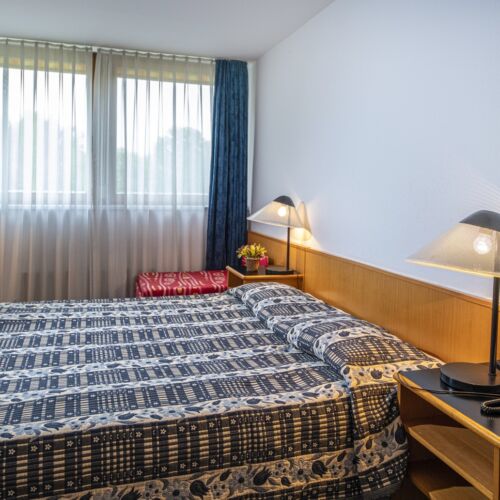 Camera twin familial(ă) (se poate solicita pat suplimentar)