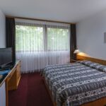 Studio Park View 1-Room Suite for 2 Persons (extra beds available)