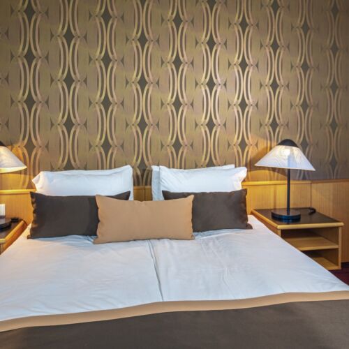 Suita studio cu panoramă cu 1 camera pentru 2 pers. (se poate solicita pat suplimentar)