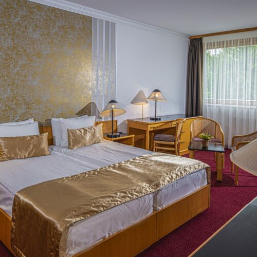 Suita studio cu vedere spre lac cu 1 camera pentru 2 pers. (se poate solicita pat suplimentar)