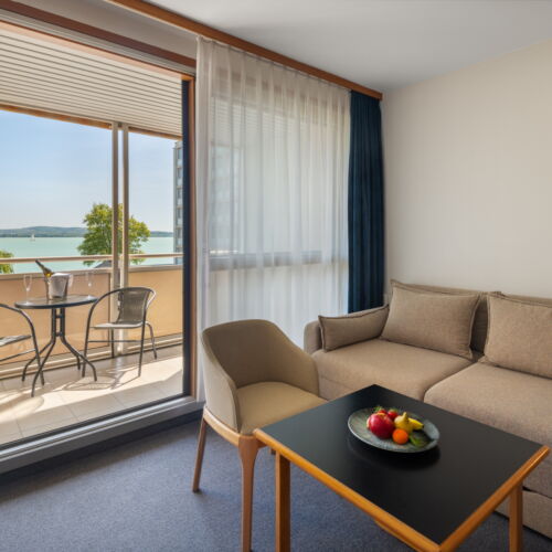 Camera twin superior familial(ă) (se poate solicita pat suplimentar)