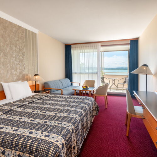 Camera twin deluxe familial(ă) (se poate solicita pat suplimentar)