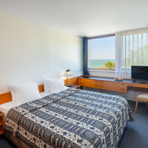 Camera twin standard Plus cu duș