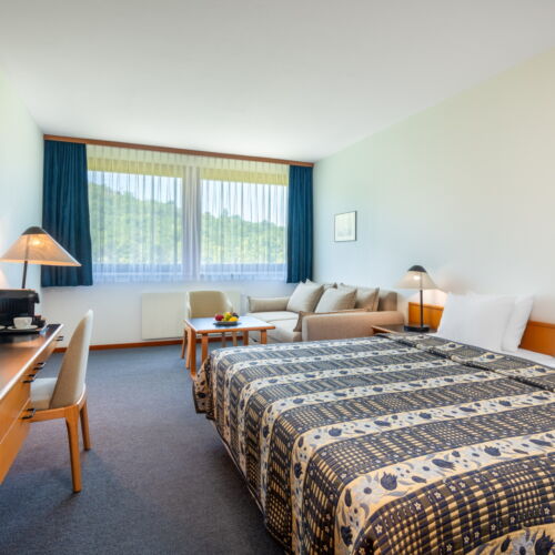 Camera twin premium familial(ă) (se poate solicita pat suplimentar)