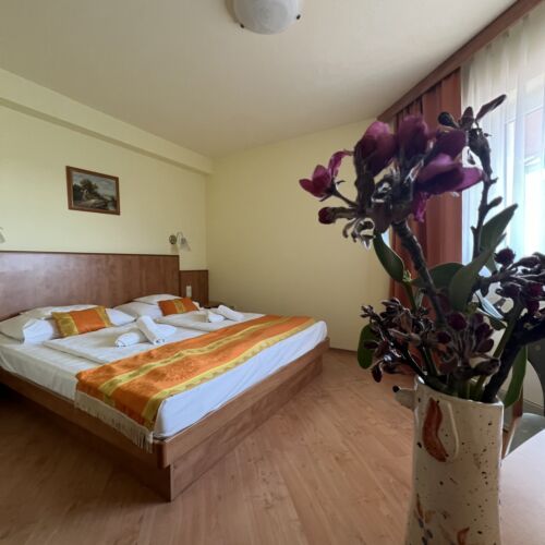 Camera tripla standard family