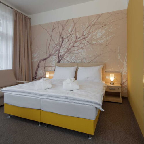 Pokoj se sprchou  pro 2 os. (s možností přistýlky)