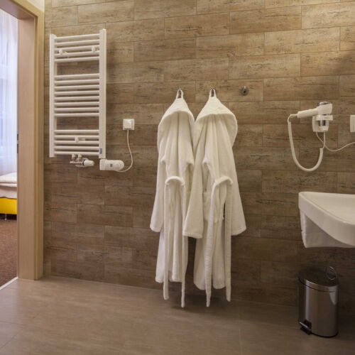 Pokoj se sprchou  pro 2 os.