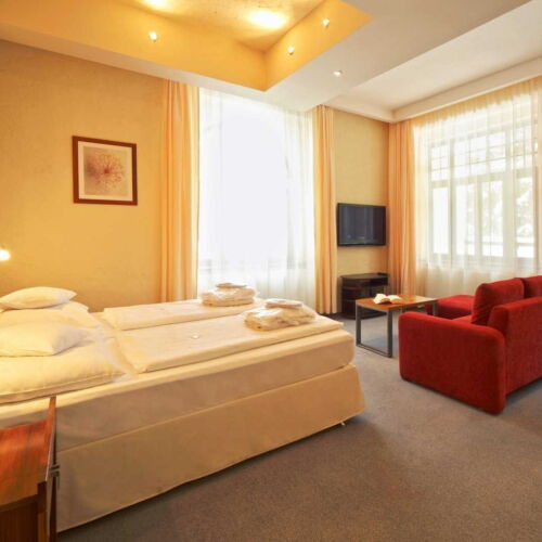 Pokoj s manželskou postelí (s možností přistýlky)