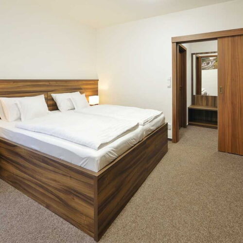 Pokoj se sprchou  s manželskou postelí (s možností přistýlky)