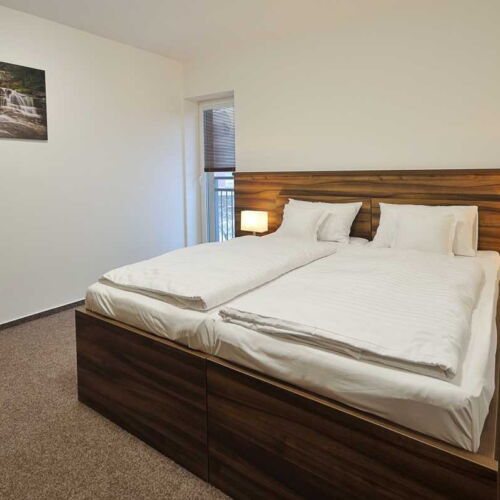 Pokoj se sprchou  s manželskou postelí (s možností přistýlky)