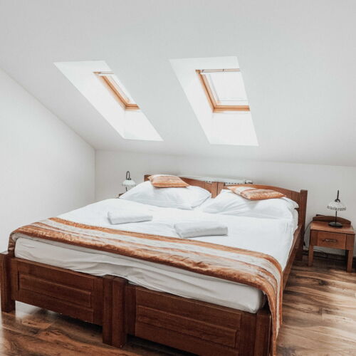 Camera twin classic cu duș