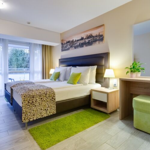 Premium Pogled na park soba sa francuskim krevetom (za 2 osoba(e))