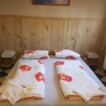 Apartament 2-osobowy Standard z prysznicem z 1 pomieszczeniem sypialnianym