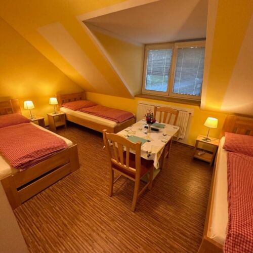 Pokoj se sprchou se společnou kuchyňkou pro 3 os.