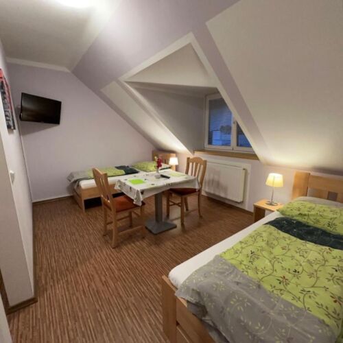 Pokoj se sprchou se společnou kuchyňkou pro 2 os.