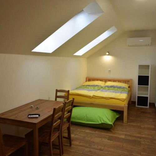 Pokoj se sprchou s vlastní kuchyňkou s manželskou postelí