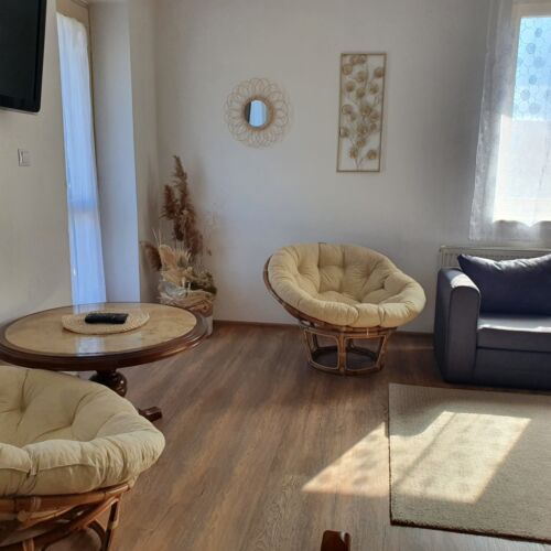Apartament cu 1 camera pentru 2 pers.
