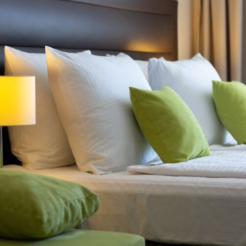 Premium Pogled na park soba sa 1 kreveta(om) (za 1 osoba(e))