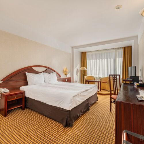 Camera dubla standard