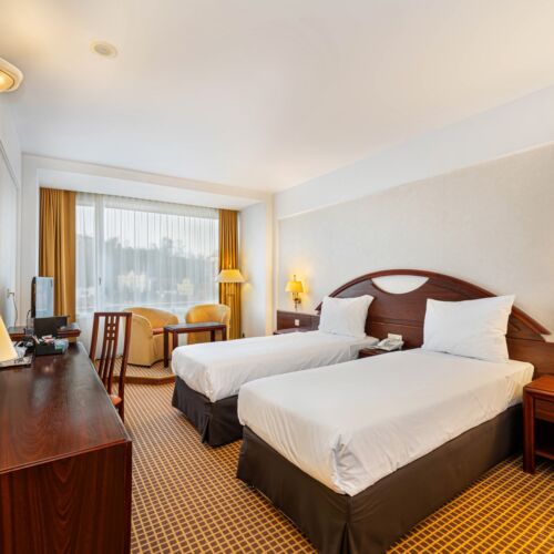 Camera twin standard