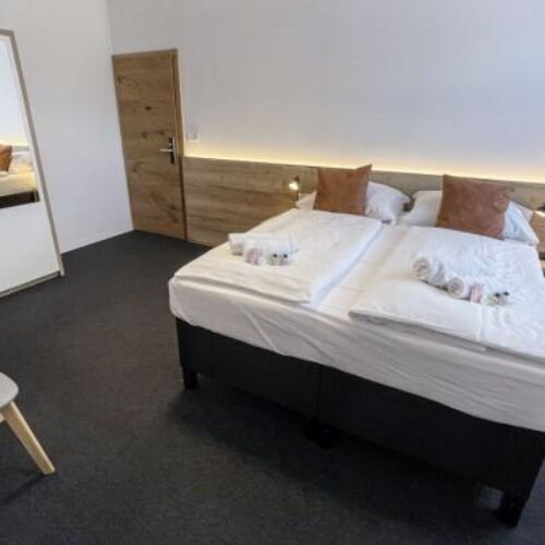 Pokoj se sprchou  s manželskou postelí