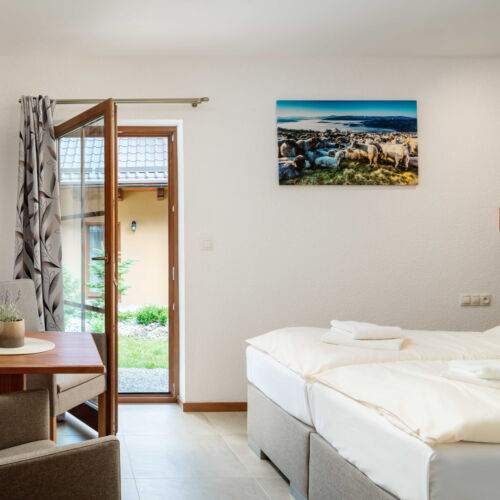 Superior Pokoj se sprchou pro 2 os.