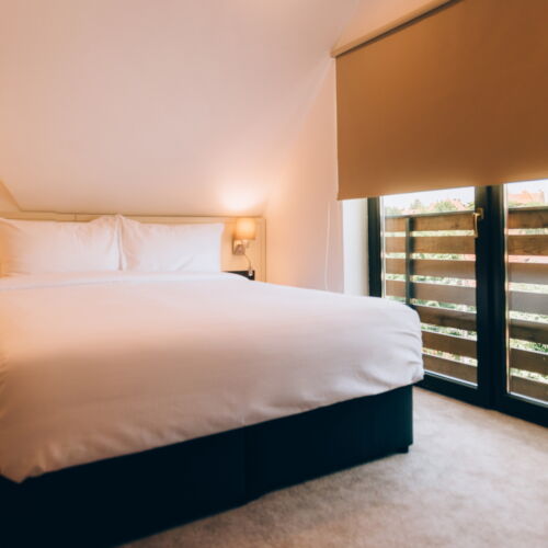 Camera dubla standard