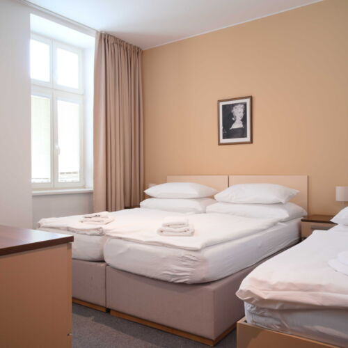 Business Pokoj se sprchou pro 3 os.