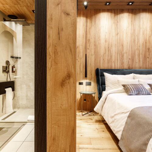 Camera dubla standard